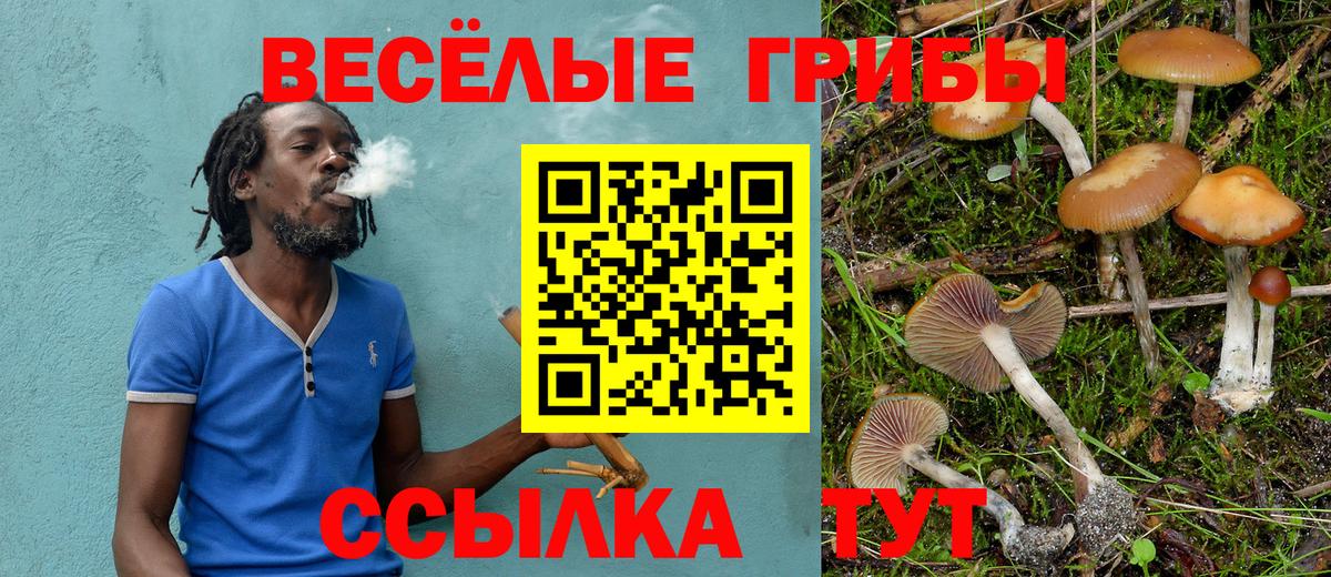 Всеволожск  дарнет шоп  Вход с VPN  Галлюциногенные грибы мухоморы 